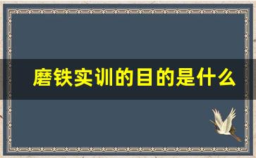 磨铁实训的目的是什么,磨工实训总结