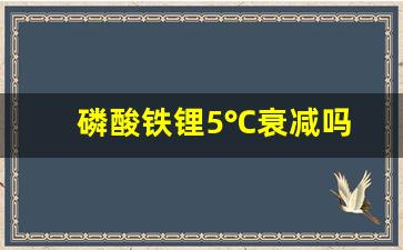 磷酸铁锂5℃衰减吗