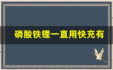 磷酸铁锂一直用快充有影响吗,新能源磷酸铁锂电池充电正确方法