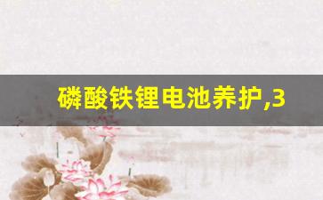 磷酸铁锂电池养护,32650磷酸铁锂电池参数