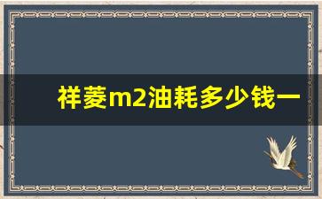 祥菱m2油耗多少钱一公里,祥菱m2单排3米7国六油耗