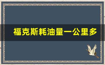 福克斯耗油量一公里多少钱