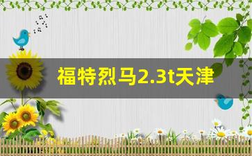 福特烈马2.3t天津港报价,平行进口福特烈马