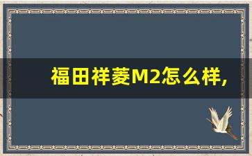 福田祥菱M2怎么样,福田祥菱M1