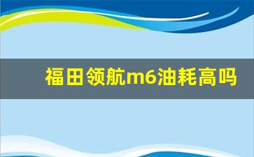 福田领航m6油耗高吗