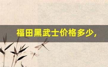 福田黑武士价格多少,长安福特7座商务车价格