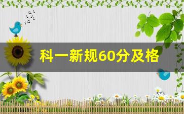 科一新规60分及格