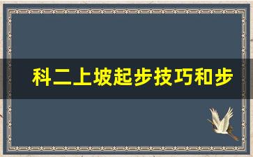 科二上坡起步技巧和步骤,科目二上坡老对不准箭头