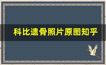 科比遗骨照片原图知乎,牢大图片科比肘击