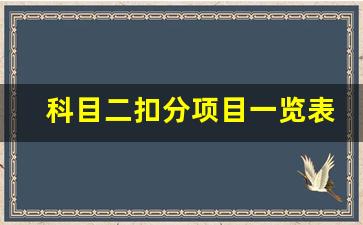 科目二扣分项目一览表