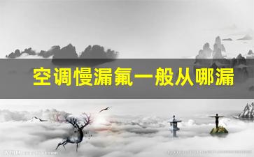 空调慢漏氟一般从哪漏,汽车空调漏氟好修理吗