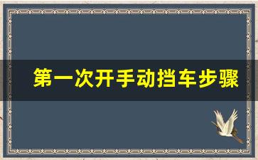 第一次开手动挡车步骤,跑高速开定速巡航好吗