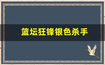 篮坛狂锋银色杀手