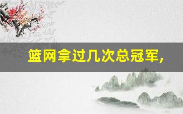 篮网拿过几次总冠军,历届nba总冠军一览表