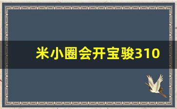 米小圈会开宝骏310吗