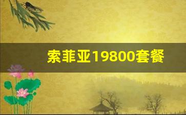 索菲亚19800套餐明细,定制衣柜品牌十大名牌排名