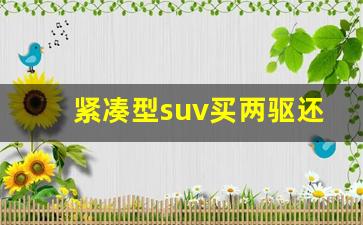 紧凑型suv买两驱还是四驱