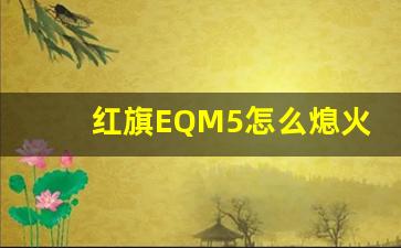 红旗EQM5怎么熄火视频,红旗自动熄火在哪里关