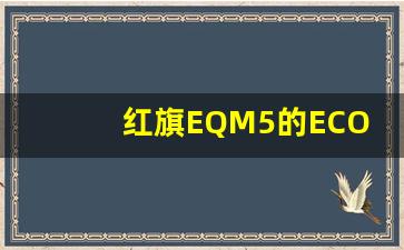 红旗EQM5的ECO怎么设置