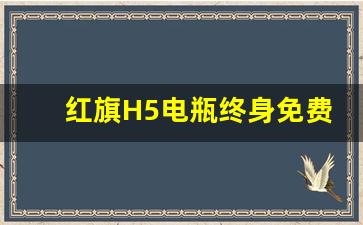 红旗H5电瓶终身免费换吗,红旗H5电瓶正常使用多久