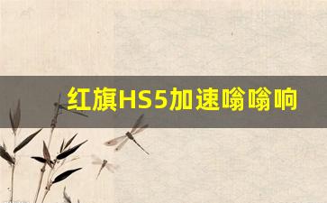 红旗HS5加速嗡嗡响,红旗hs5高速风噪很大