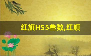 红旗HS5叁数,红旗hs5车内各按键功能介绍视频