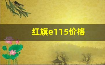 红旗e115价格