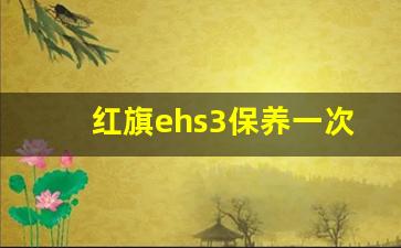 红旗ehs3保养一次多少钱,红旗ehs3电池寿命