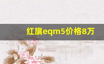 红旗eqm5价格8万,红旗eqm5长春补贴政策