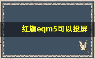 红旗eqm5可以投屏吗