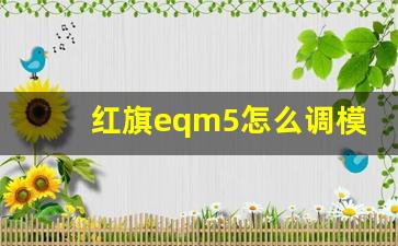 红旗eqm5怎么调模式,红旗EQM5的ECO怎么设置