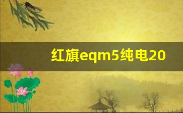 红旗eqm5纯电2023款豪华版,2023建议买的纯电车