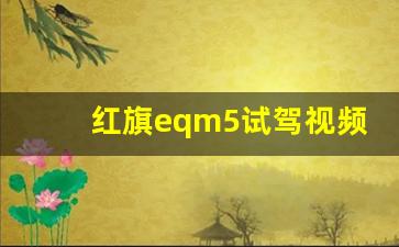 红旗eqm5试驾视频