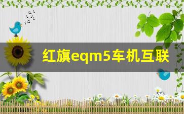 红旗eqm5车机互联,红旗EQM5车机软件