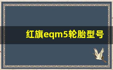 红旗eqm5轮胎型号尺寸