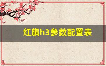 红旗h3参数配置表