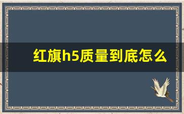 红旗h5质量到底怎么样,红旗汽车的定位