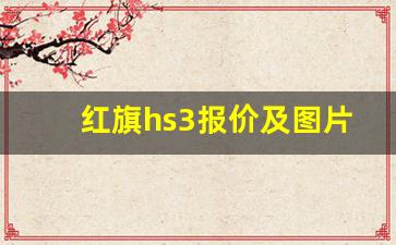 红旗hs3报价及图片2020款,红旗紧凑型suv最新消息hs3