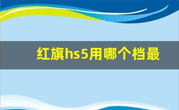 红旗hs5用哪个档最省油,红旗hs5一直开经济模式