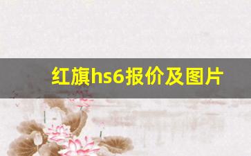 红旗hs6报价及图片参数,红旗hs7会降价吗