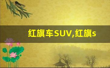 红旗车SUV,红旗suv新款纯电动