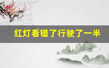 红灯看错了行驶了一半,闯红灯最快的查询方法网上查询