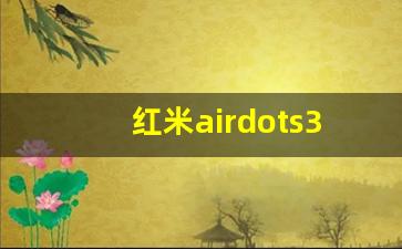 红米airdots3充电盒