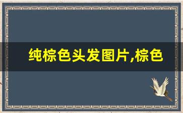 纯棕色头发图片,棕色系头发怎么染