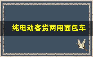 纯电动客货两用面包车,东风菱智纯电动汽车