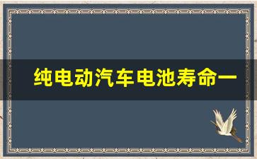 纯电动汽车电池寿命一般多长时间