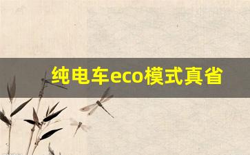 纯电车eco模式真省电吗,纯电动汽车一般开什么模式