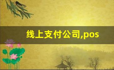 线上支付公司,pos机线上线下什么意思