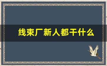 线束厂新人都干什么