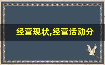 经营现状,经营活动分析报告